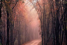 顶级选手斗智斗勇，一路领先突围