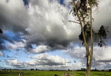 摩纳哥队遭遇困境，摆脱输球魔咒