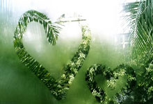 火箭客场大胜，打破篮网守势